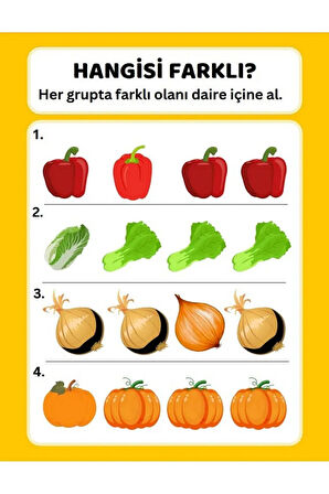 Okul Öncesi Farklı Olanı Bul YAZ-SİL Kitabı