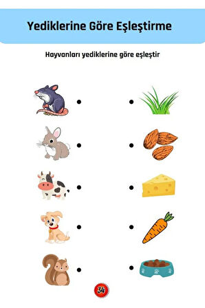 Okul Öncesi Eşleştirme Kitap Seti (YAZ-SİL)
