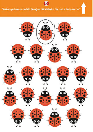 Çizgi-Matematik ve Yön Çalışmaları YAZ-SİL Kitap Seti (3 Kitap)