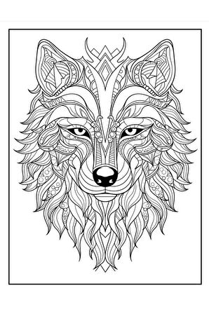 Hayvanlar Mandala Kitap Seti (4 Kitap)