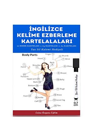 Trafik İşaretleri Kartelaları (22 Kartela)