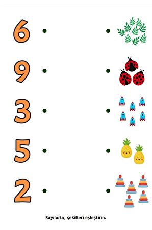 Okul Öncesi Sayılar Matematiğe Giriş YAZ-SİL Kitabı