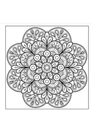 Profesyonel Mandala Boyama Kitabı (125 Süper Mandala)