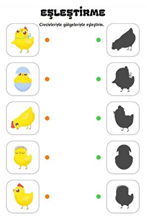 Kodlamalı Matematik YAZ-SİL-KES-YAPIŞTIR Seti (Okul Öncesi ve Birinci Sınıflar İçin)