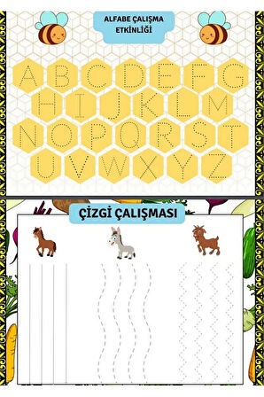 Okul Öncesi Cırt Cırtlı KODLAMA Eğitim Seti