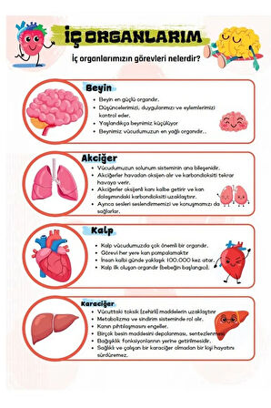 Vücudumuzu Tanıyalım YAZ-SİL Kitabı