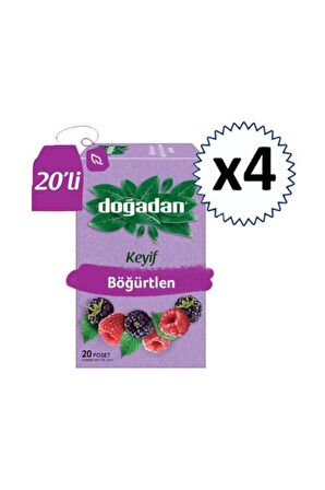 Doğadan Böğürtlen Çayı 20 Adet X 4 Adet