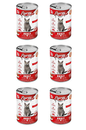 Sığır Etli Yetişkin Islak Kedi Maması 400 G - 6 Adet