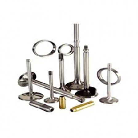 Renault Subap Gaydı Megane 1,4 / 1,6 16v (k4m K4j) / (16 Gayd) - Supsan Tg-05007