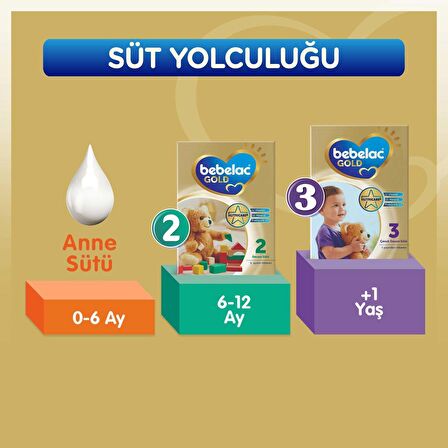 Bebelac Gold 1 Prebiyotik Devam Sütü 3 x 800 gr