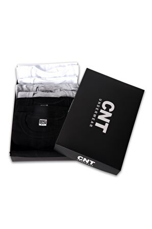 Erkek Fanila T-shirt Pamuklu 6'lı Premium Paket 