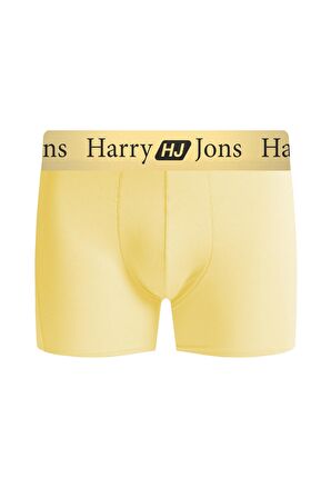 Pastels Premium Kutulu 3 Adet Erkek Boxer Hediyelik Kutu