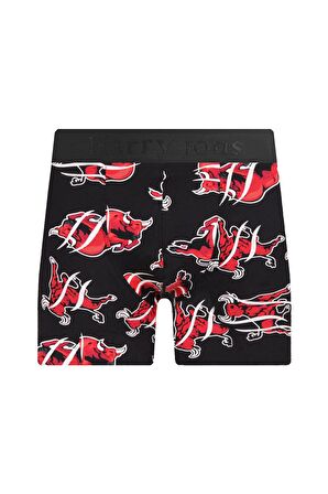 Erkek Desenli Renkli Pamuklu Boxer 4'lü Paket 