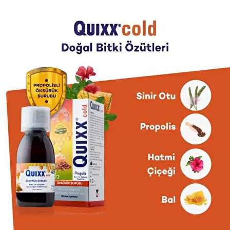 Quixx Cold Propolis Şurup 100 ml