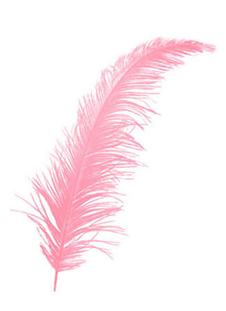 Tüy Pembe ( 100 Adet )