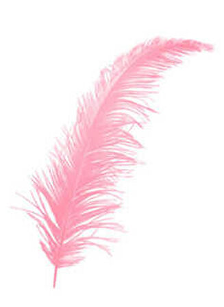 Tüy Pembe ( 100 Adet )