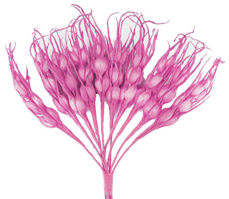 Çiçek Başak Pembe 1x7 Cm ( 100 Adet )