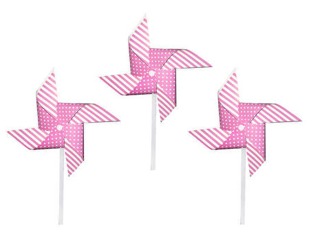 RÜZGAR GÜLÜ PEMBE 3 ADET