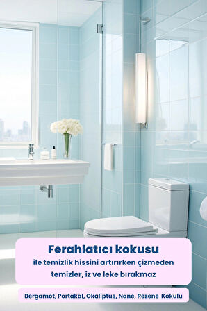 SOOP Home Tuvalet Temizleyici Spreyi 750 ml | Bitkisel Yağ Bazlı Sabun | 750 ml