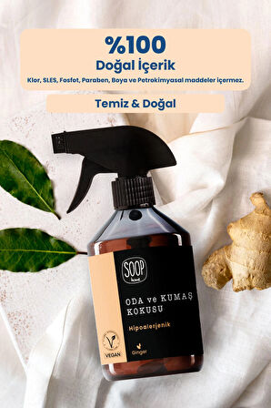 SOOP Home Oda ve Kumaş Kokusu | Hipoalerjenik Ginger Kokulu 500 ml