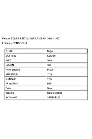 KBA750 SOLAR LED DUVAR LAMBASI 30W 160 Lümen SENSÖRLÜ