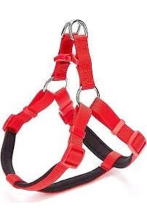 Doggie Köpek Uzatma-Gögüs Tasması(dsgt10xl red)60*85 Cm Kırmızı