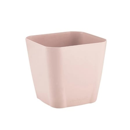 Serinova Safir Saksı Gövde 1 No Gül Kurusu