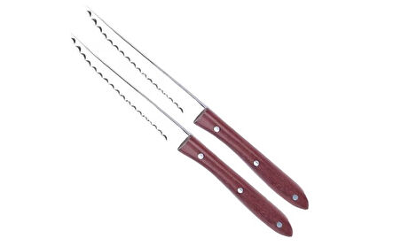 Aryıldız 2Li Brazil Steak Bıçak