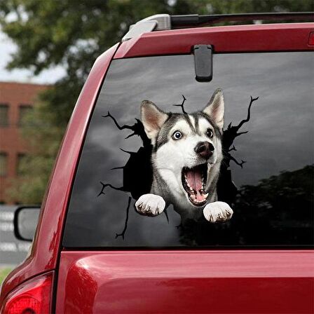 Araba Arka Cam Köpek Sticker Yapıştırma 17cm A8