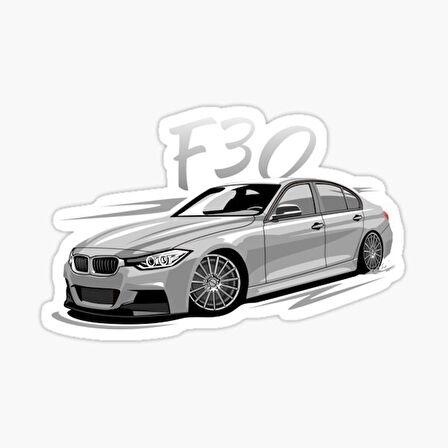 F30 Modifiye Cam Sticker Yapıştırma 16CM 2 Adet