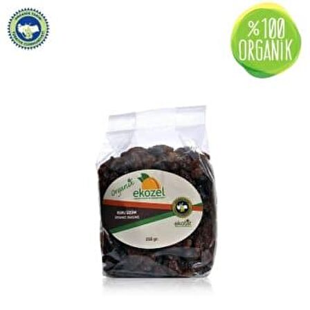 Organik Çekirdeksiz Kuru Üzüm (250 gr)