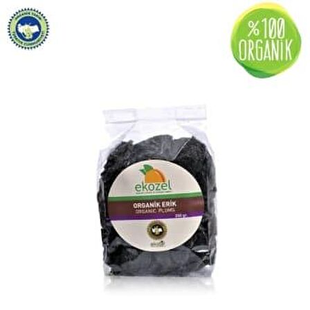 Organik Kuru Erik (250 gr)