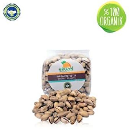 Organik Antep Fıstığı (250 gr)