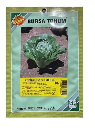 Bursa Tohum Yedikule-5701 marul 25 gr