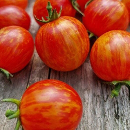 Süpernova Cherry Domates Tohumu (15 Tohum)