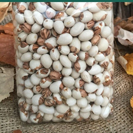 Doğal Geneleksel Empirme Sırık Fasulye Tohumu (10 Tohum)