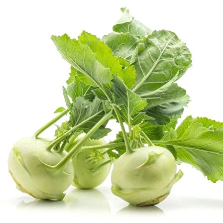 Doğal Geleneksel Yeşil Kohlrabi (Alabaş) Tohumu (20 Tohum)