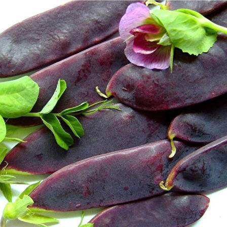 Geleneksel Doğal Şiraz Siyah Bezelye Tohumu (10 Tohum)