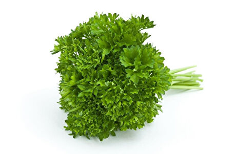 Kıvırcık Frenk Maydonozu Tohumu (200 Tohum)