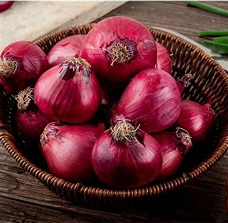 Doğal Yüksek Aromalı Ata 19 Kırmızı Çorum Tipi Soğan Tohumu (50 Tohum)