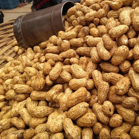 Yeni Hasat Taze Haşlamalık Çiğ Yer Fıstığı Yeni Söküm (3 Kg)