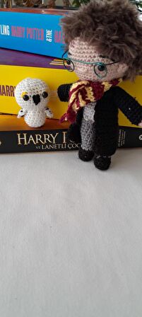 Harry Poter ve Hedwig