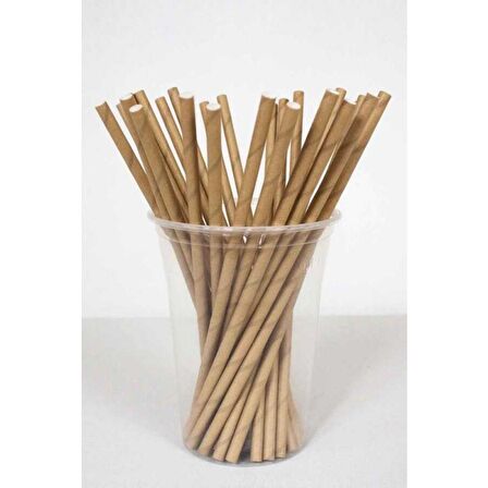 Kraft Naturel Karton Pipet 25 li
