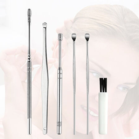 6 Parça Paslanmaz Çelik Kulak Balmumu Toplayıcı Çıkarıcı Temizleyici Bakımı Çubuk Seti 