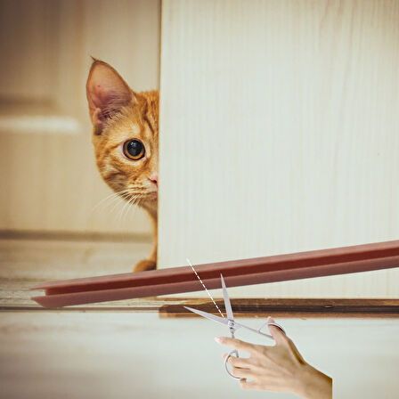 4 Adet Kapı Toz Rüzgar Önleyici Isı Yalıtımı Sağlayan Sızdırmaz Strafor 