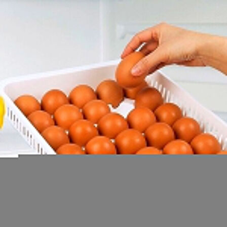 15&amp;apos;li yumurta Saklama Kabı 