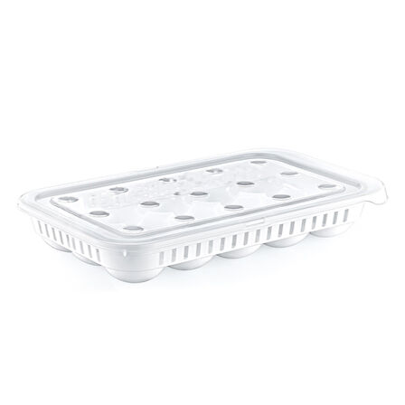 15&amp;apos;li yumurta Saklama Kabı 