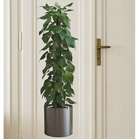 Saksılı Bitki Tasarımlı Yapışkanlı Sticker Resim 90*30 Cm 