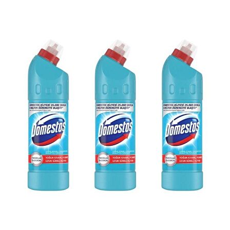 Domestos Yoğun Kıvamlı Çamaşır Suyu Okaliptüs Ferahlığı 750 ml x 3 Adet