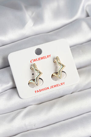 Pirinç Gold Renk Yıldız Model Kadın Küpe - Lisinya